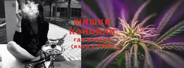 дурь Богданович