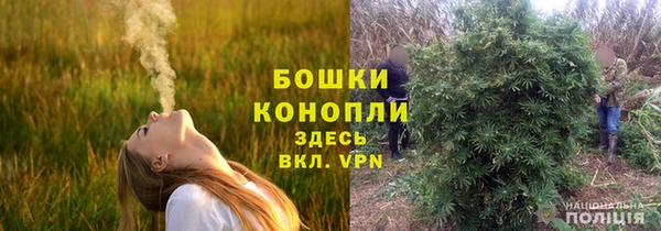 дурь Богданович