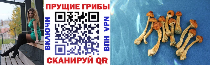 Псилоцибиновые грибы мухоморы  Липецк 